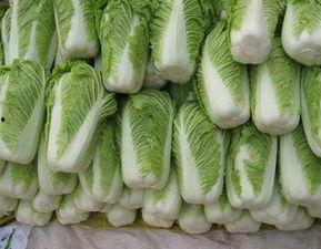 吃瓜大白菜,揭秘娱乐圈的“瓜田”趣事