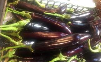 茄子视频吃瓜,一场吃瓜群众的狂欢盛宴